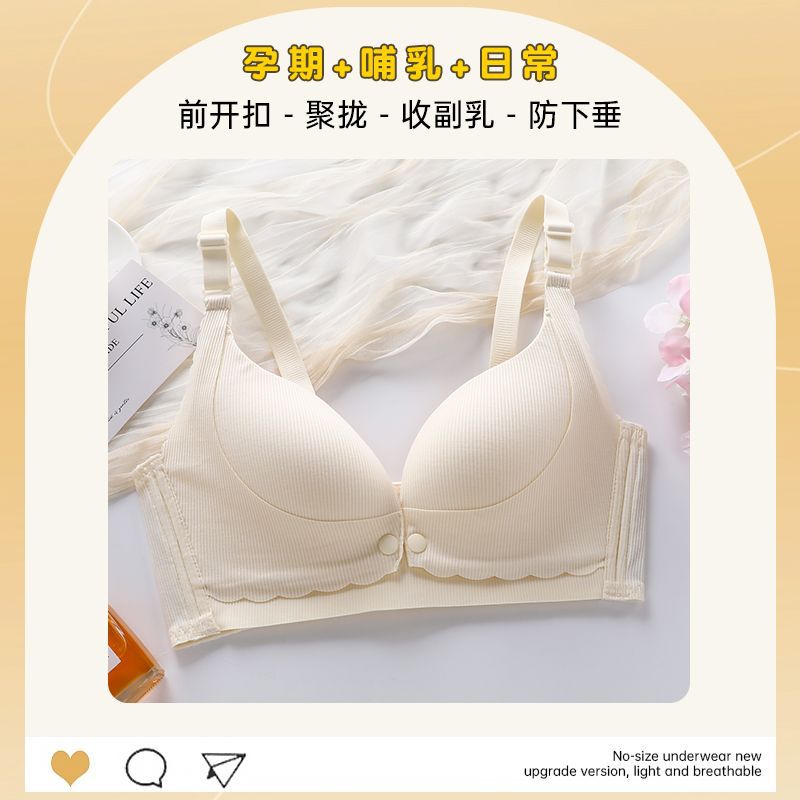 샴페인