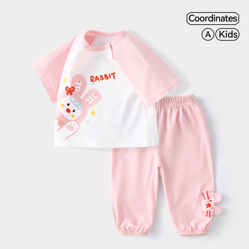 Little rabbit dream
