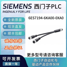 6ES7194-6KA00-0XA0TSIMATIC DPY |