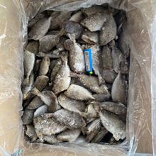 泥猛鱼冷冻柠檬鱼三去泥猛鱼自助餐员工餐海鲜水产食材18斤商用