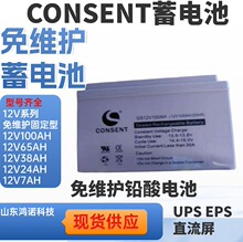 CONSENT��ʢ��늳�GS12V65AH 12V65AH UPSֱ�����Դ����