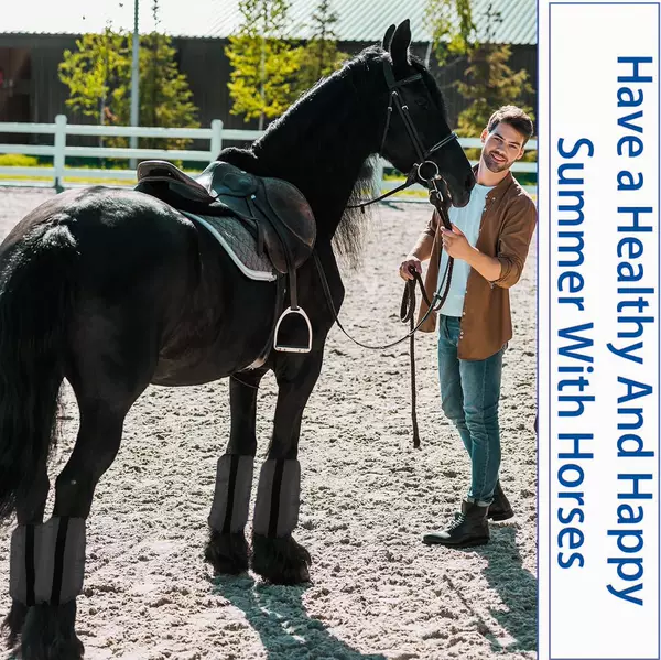 Manufacturer's In-Stock Nylon Horse Leg Protectors, Horse Leg Wraps, Equestrian Supplies, Summer Horse Leg Protectors, Mosquito-Proof Horse Leg Protectors, Horse Hoof Protectors, Horse Leg Sleeves