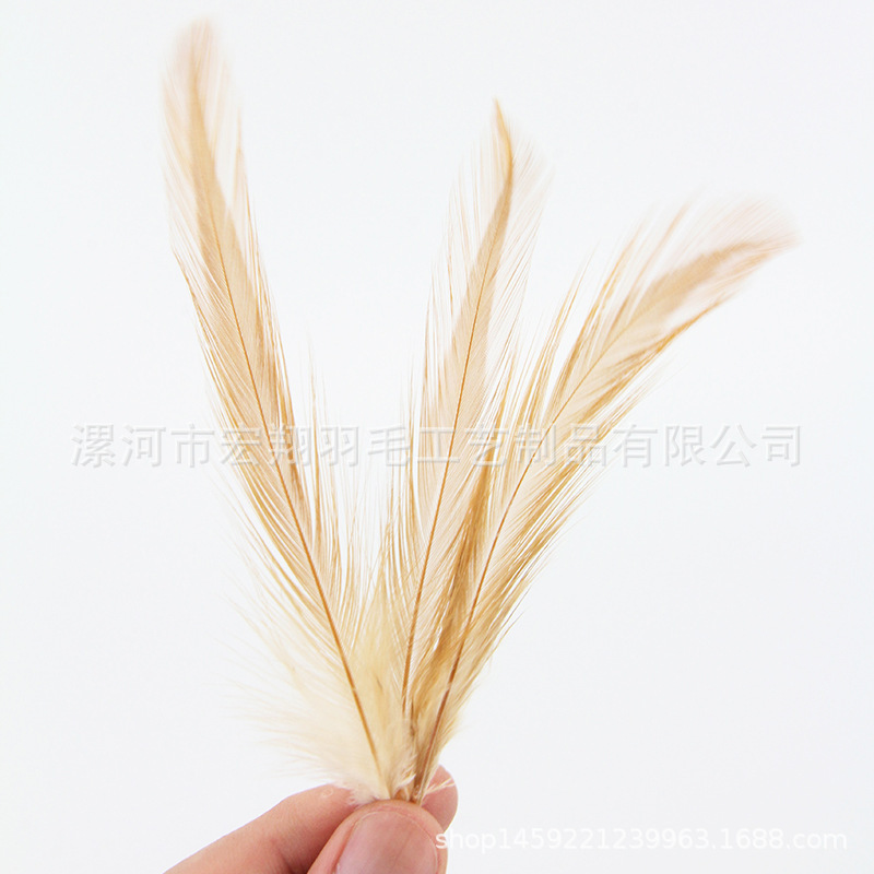 厂家批发公鸡毛可染色 10-15cm 红项毛散毛diy羽毛配件服装辅料
