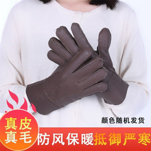 厂家批发冬季保暖男女款羊皮皮毛一体五指手套 颜色随机发
