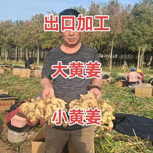 ���������Ж|�������ڃr��ɽ�|�����a��ֱ�N�������m�Rȫ