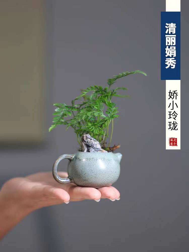 微信图片_20240526161629