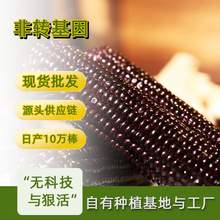 �|��ճŴ�������rŴ�������������װ�S��ֱ�N�ּZ��֬�Y�п�