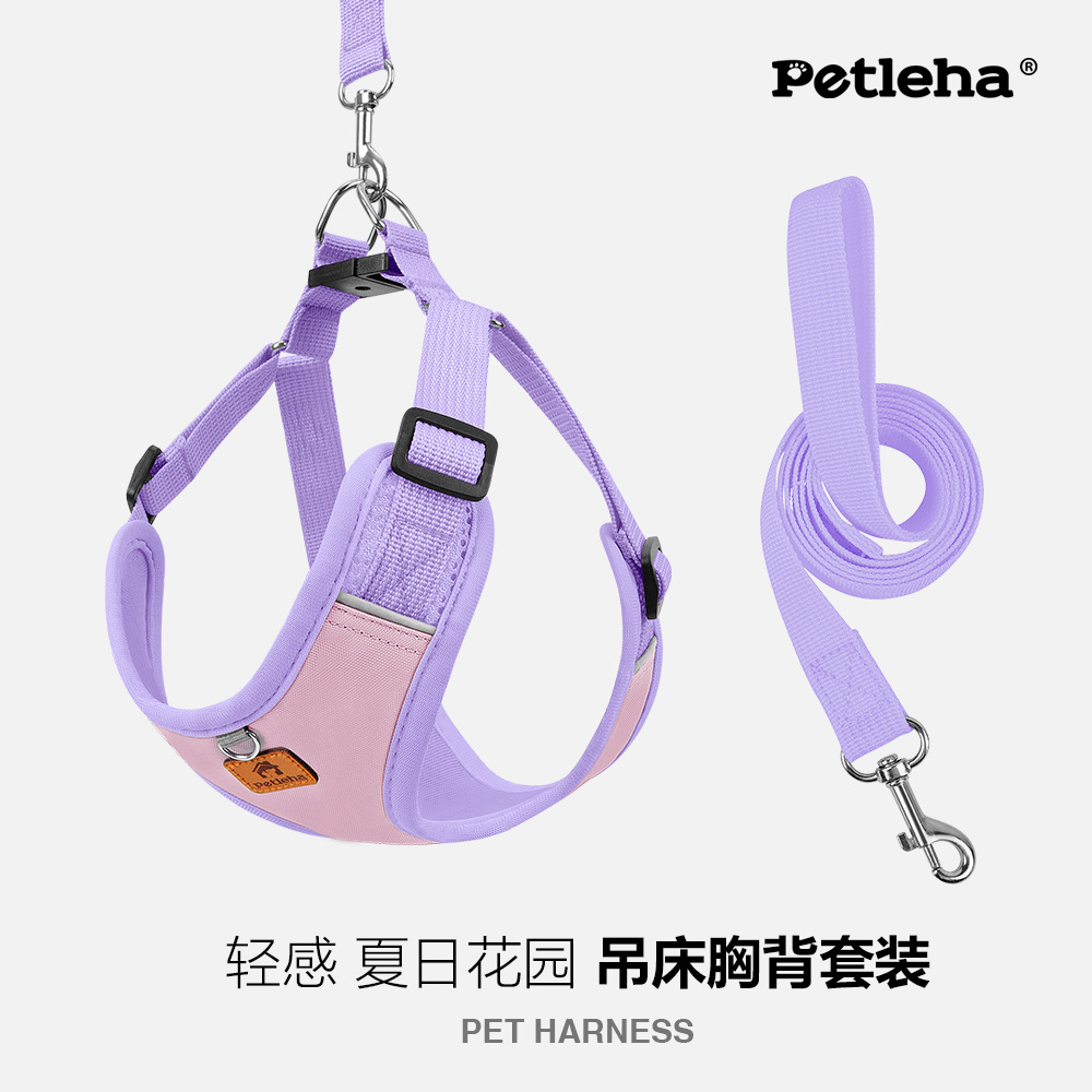 꿈의 거품
