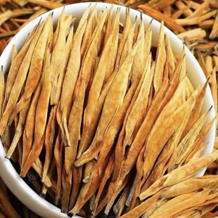 ���l��ϵ�t�� 2025���P�c������� �紺�� ��ѿ500�� ɢ��