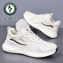 啄木鸟正品秋夏男鞋透气网面白色运动鞋真皮休闲小白鞋旅游老爹鞋