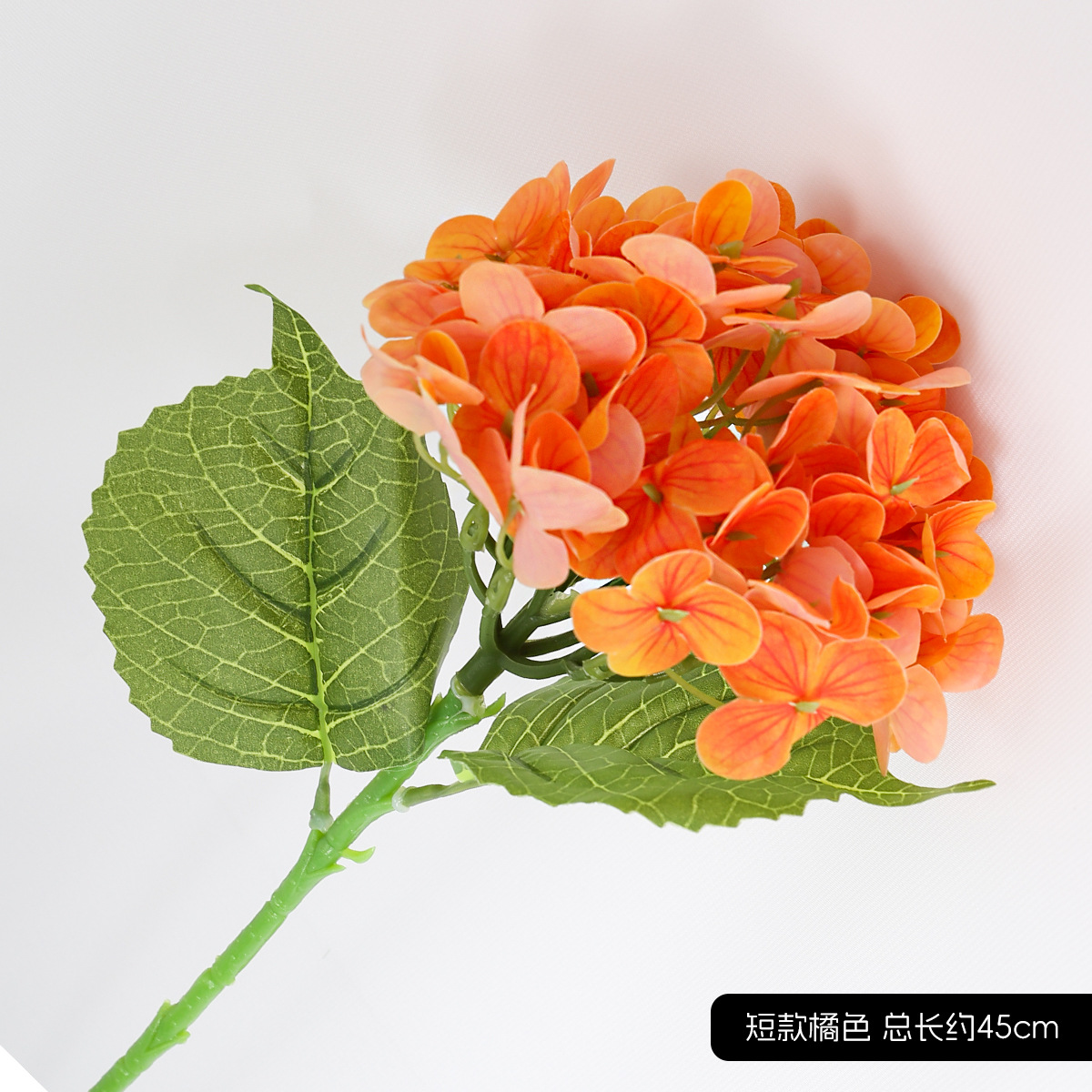 짧은 수국 오렌지