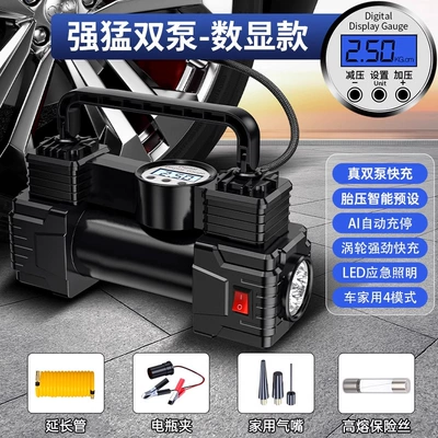 for automobile two-cylinder electric – Hava nasosu - digital-display-model-alloy-motor-comes-with-battery-clamp-extension-tube-household-air-nozzle