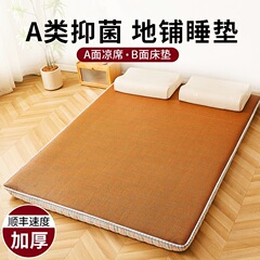 打地铺睡垫神器家用冰丝凉席床垫直接铺地上学生宿舍单人床褥垫子