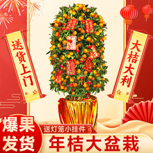 ۘԎۿʳӘļGֲ҃ȿ͏d