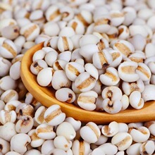 ��޲����޲������؛�F��޲���׿ɴ���ඹ�t������s�Z�ּZ���Ҝ�