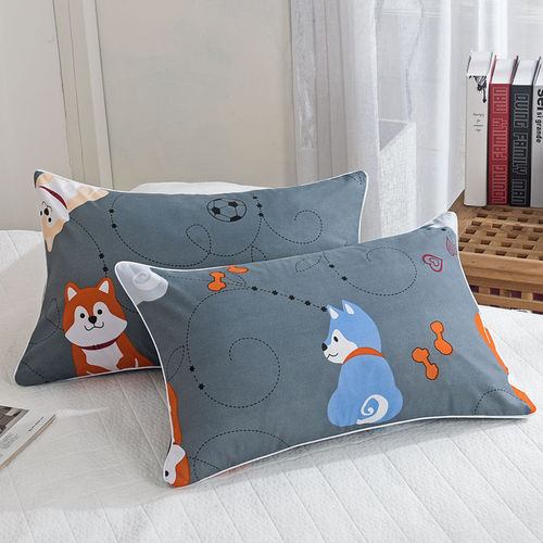 Single Pillow Set with Pillowcase, Removable Washable Student Adult Neck Support Pillow Core Set of Two