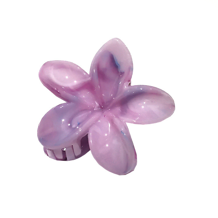 国境を越えたアマゾンの卵の花がグラデーションの花のキャンディー色の紫荊花の後頭部をつかんでサメの花を挟んで髪を伸ばします。|undefined