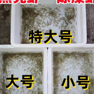 ��̖�ښ��rС̖�����r���������ش�̖����