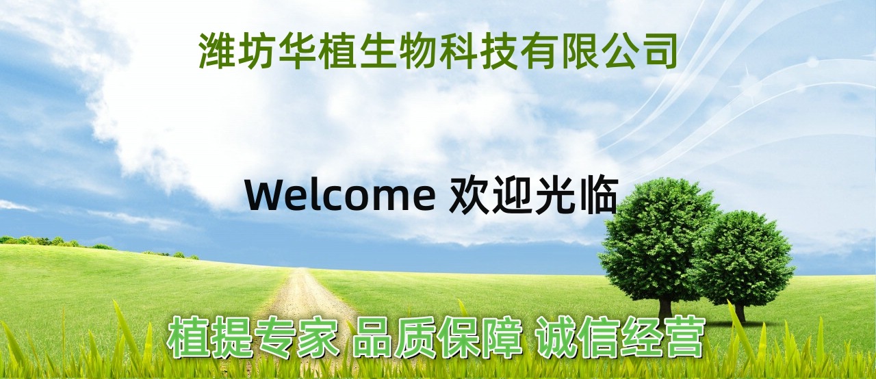 潍坊华植生物 专注功能性保健食品原料、功能性化妆品原料、天然