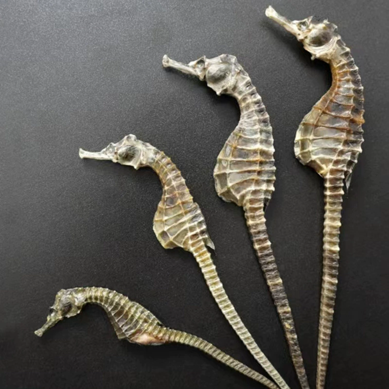 Wei Yin Ma Haima — источник для выращивания вина и приготовления супа, высокое качество для питания, парное сочетание для мужчин и женщин для супа и питания.