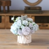 Burgundy Blue Little Rose Alice