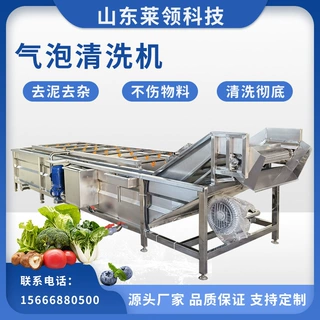 商用不锈钢气泡清洗机 西红柿气浴翻浪洗菜机 净菜加工流水线设备