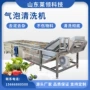 气泡商用气浴净菜洗菜机