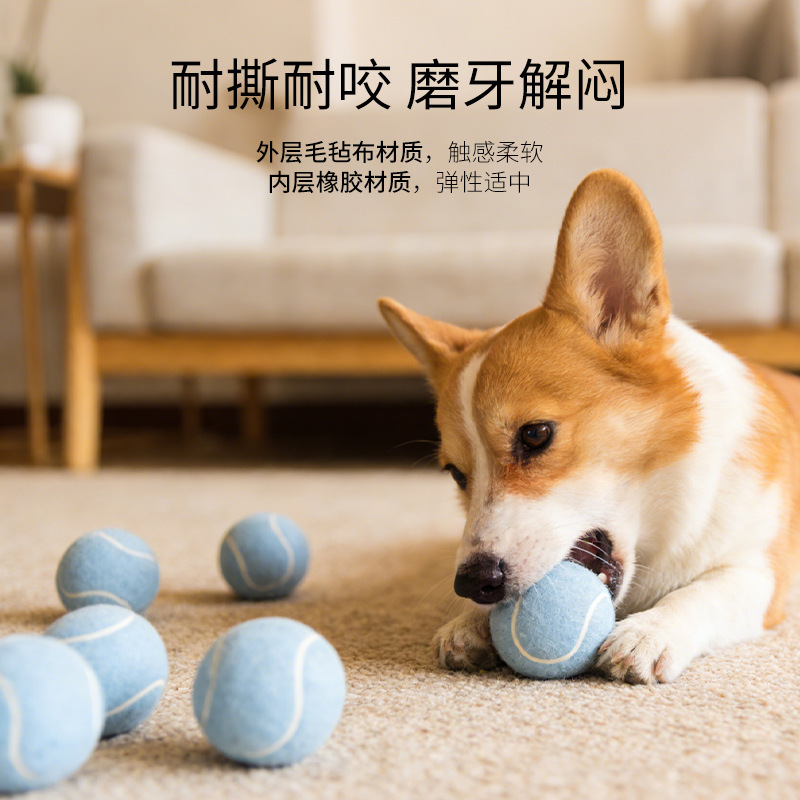 Juguetes de tenis para perros transfronterizos lanzan entrenamiento interactivo para aliviar el aburrimiento juguetes para mascotas 3 juegos de juguetes para perros de fieltro