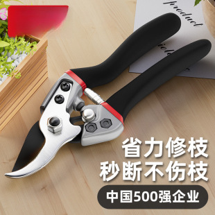 Electrical Pruning Shears, Gardening Scissors, Branch Pruning Scissors, Garden Pruning, Fruit Tree Pruning, Flower Pruning Shears