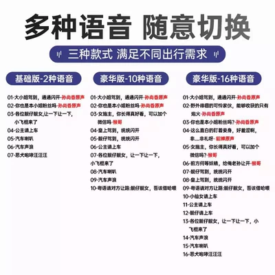 Install Bicycle Battery, Car horn/tweeter