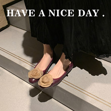 ���~õ�壡2025���＾�¿�㼑Џ͹ŵ�ƽ��ЬС���OӋ�І�ЬŮ�͸�