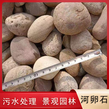 变压器石头用5-8公分园林铺路装饰鹅卵石水处理景观园林河卵石