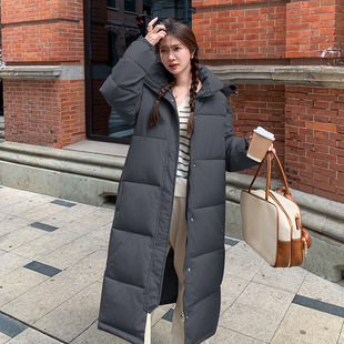 �Б��޷���Ů����2025�¿����¼��L���_�׌��ɼӺ���ޱ����\����
