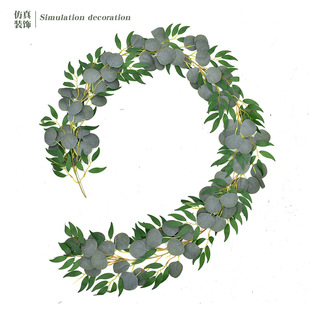 ���ܷ���ֲ���ȼ����A�~�ٗl�L�~����~�����������Ҿӻ�Y�b�