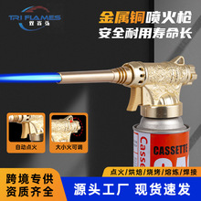 �������𿾘���ʽ���ȫ�~�����iƤ�����ֳև���������yʽ�c����