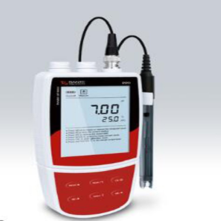 BPH便携型PH计 型号:BR34-BPH-220库号：M406343