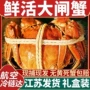 江苏水产鲜活公母大闸蟹