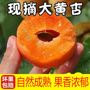 �Fժ���S��ˮ�����r���S�ӽ�̫��Ӯ������r�ЋD���ˮ��������]