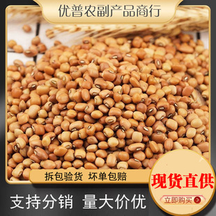 ���շ����� ���l�t���� �r���Ԯa�tü���s�Z���؛������ ���]