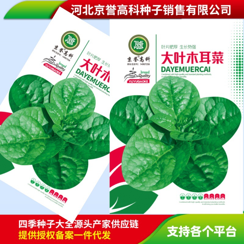 supply balcony Potted plant Roof Garden plant Big leaf Malabar Spinach seed Vegetable seed Subsidiary wholesale