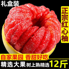 【】現摘老樹紅心柚子新鮮水果琯溪平和紅肉三紅蜜柚整箱批發