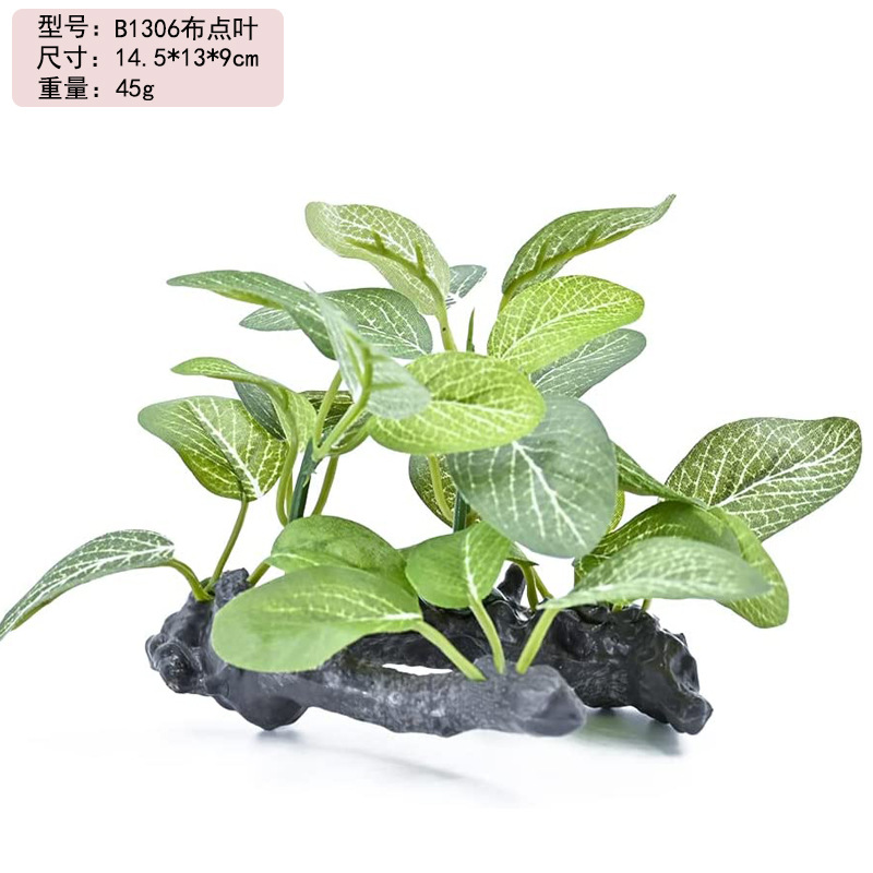 611JueOu7PL._AC_SL1000_