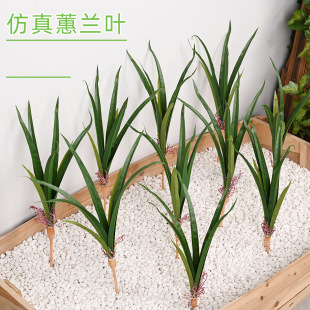 �������ޥ�m�~ �ҾӲ廨����b�ͥԺ�G�����̲���ܛ�b�پGֲ