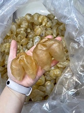 滋花胶系列 安南公胶  佐罗胶 黄花胶  豆仁胶 蝴蝶胶 斗湖胶