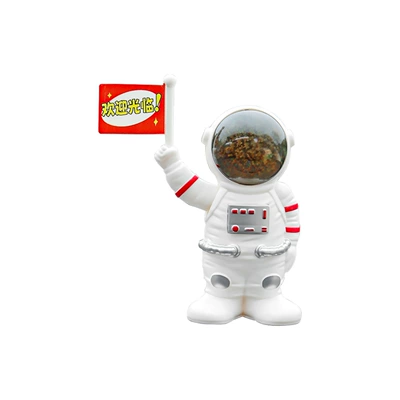 Car ornaments astronaut solar, Car ornaments