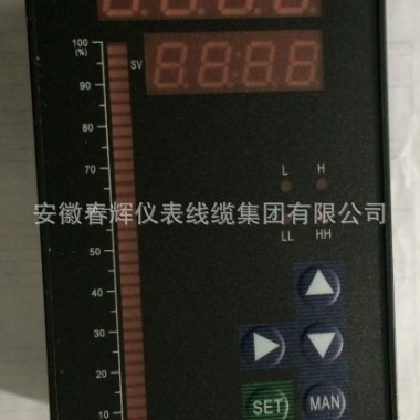 光柱显示报警仪CHT-808 XMTA-8000