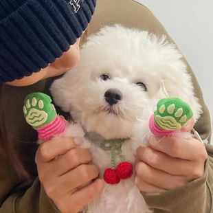 �����m�ӷ�ץ���K�����_��̩�ϱ��ܼs����؈��Ь�ӌ����m�ӹ�Ь��