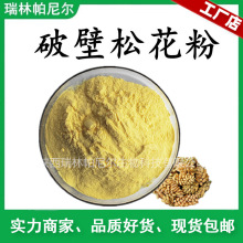 破壁松花粉   松花粉 油松松花粉 货源稳定 量大从优