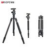 carbon fibre tripod Micro single Photography camera Yuntai outdoors travel Portable Reflexed photograph mobile phone Bracket