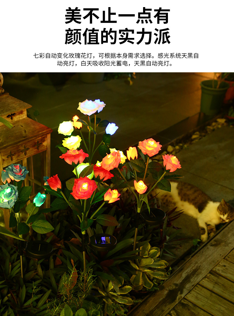 O1CN019gNSfJ1h9g2zSfTeT_!!2212